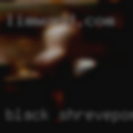 Black Shreveport